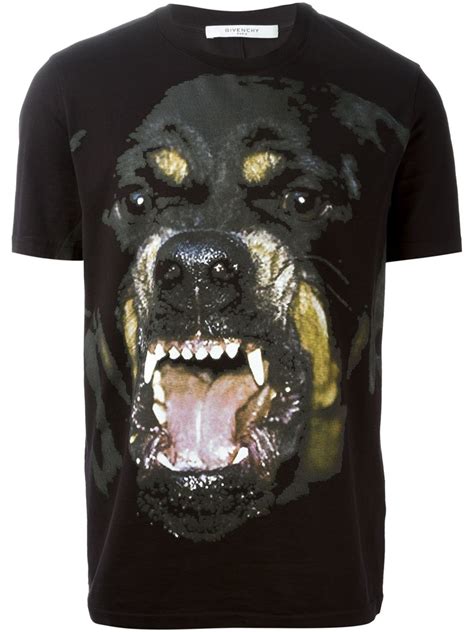 givenchy rottweiler t shirt kaufen|Givenchy rottweiler shirt for sale.